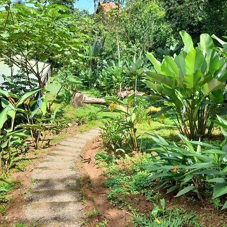 Hostel Osa Tucan Drake Drake Bay Exterior photo