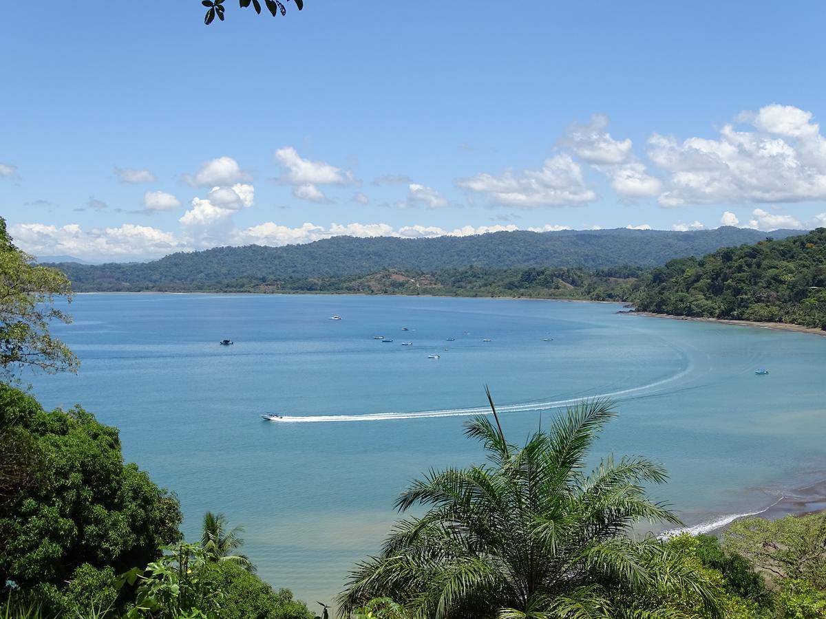 Hostel Osa Tucan Drake Drake Bay Exterior photo