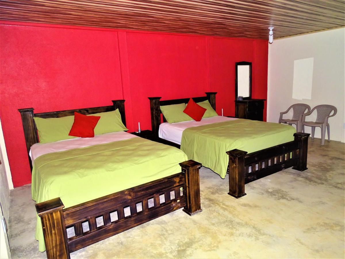 Hostel Osa Tucan Drake Drake Bay Exterior photo